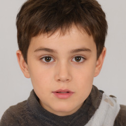 Neutral white child male with short  brown hair and brown eyes