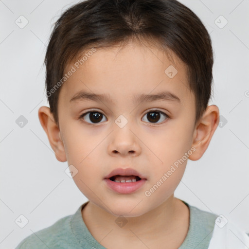 Neutral white child male with short  brown hair and brown eyes