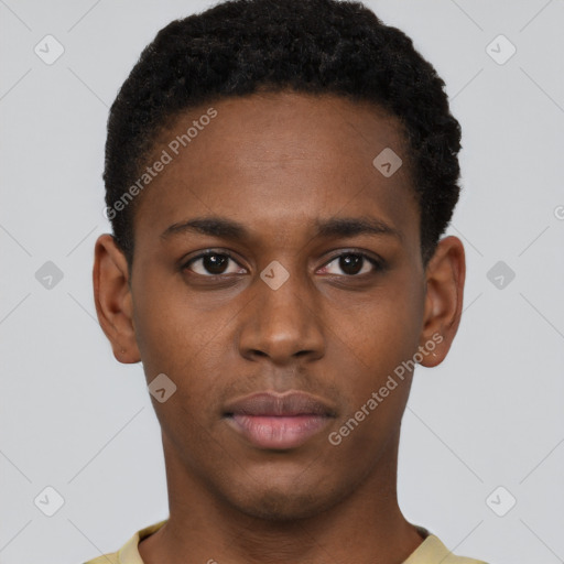Neutral black young-adult male with short  brown hair and brown eyes