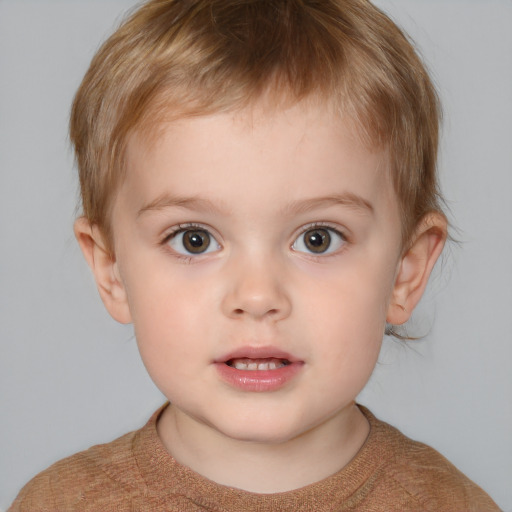 Neutral white child male with short  brown hair and grey eyes