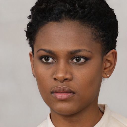 Neutral black young-adult female with short  brown hair and brown eyes