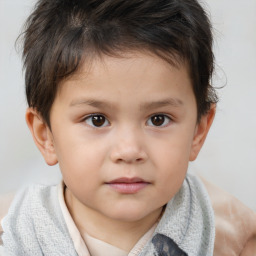 Neutral white child male with short  brown hair and brown eyes