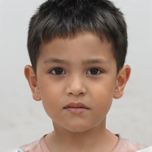 Neutral white child male with short  brown hair and brown eyes