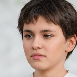 Neutral white child male with short  brown hair and brown eyes