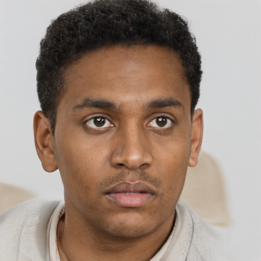 Neutral black young-adult male with short  brown hair and brown eyes