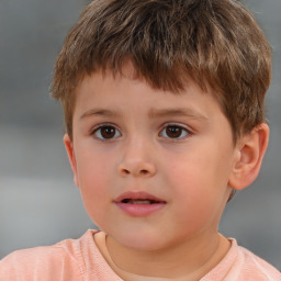 Neutral white child male with short  brown hair and brown eyes