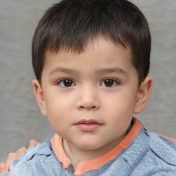 Neutral white child male with short  brown hair and brown eyes