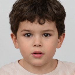 Neutral white child male with short  brown hair and brown eyes