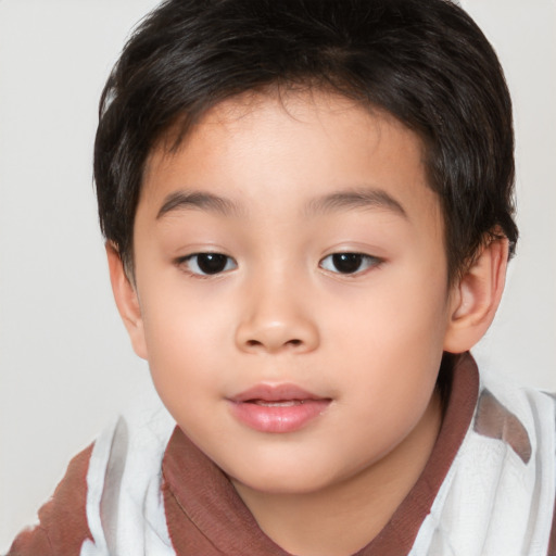 Joyful white child male with short  brown hair and brown eyes