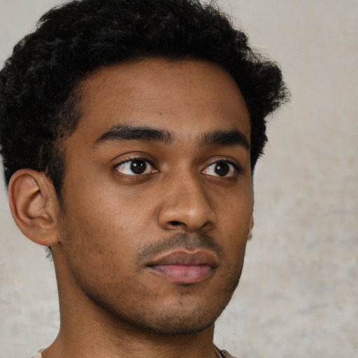 Neutral black young-adult male with short  brown hair and brown eyes