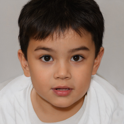 Neutral white child male with short  brown hair and brown eyes