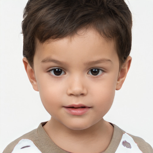 Neutral white child male with short  brown hair and brown eyes