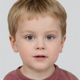 Neutral white child male with short  brown hair and brown eyes