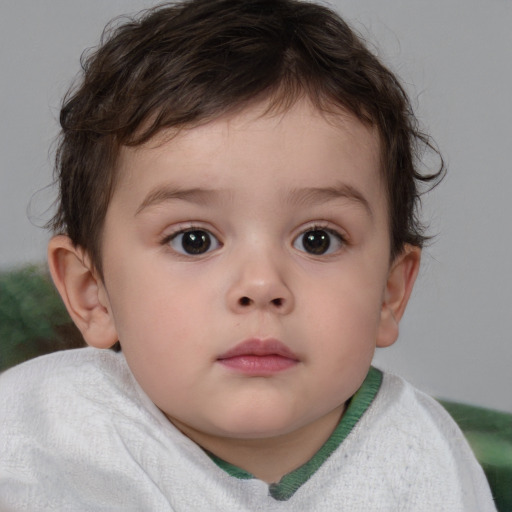 Neutral white child male with short  brown hair and brown eyes