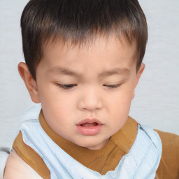 Neutral white child male with short  brown hair and brown eyes