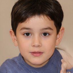 Neutral white child male with short  brown hair and brown eyes