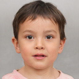 Neutral white child male with short  brown hair and brown eyes