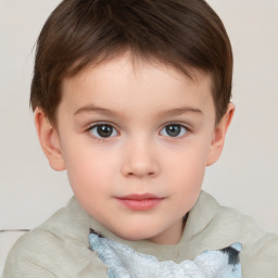 Neutral white child male with short  brown hair and brown eyes