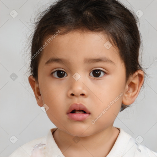 Neutral white child male with short  brown hair and brown eyes