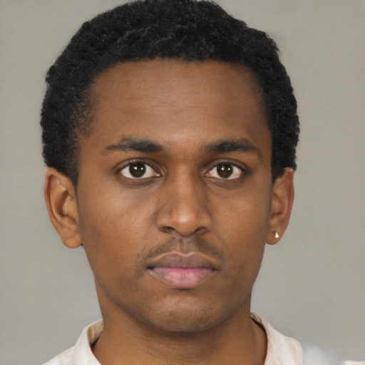 Neutral black young-adult male with short  brown hair and brown eyes