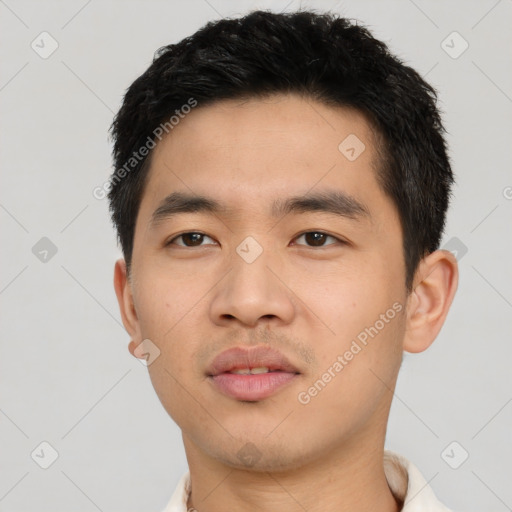 Neutral asian young-adult male with short  black hair and brown eyes