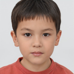 Neutral white child male with short  brown hair and brown eyes