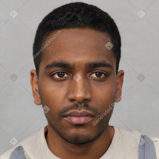 Neutral black young-adult male with short  black hair and brown eyes