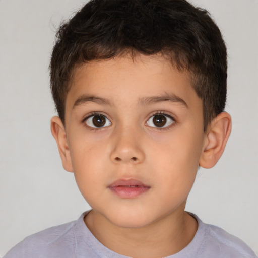 Neutral white child male with short  brown hair and brown eyes