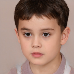 Neutral white child male with short  brown hair and brown eyes