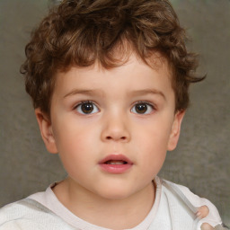 Neutral white child male with short  brown hair and brown eyes