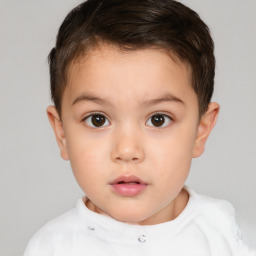 Neutral white child male with short  brown hair and brown eyes