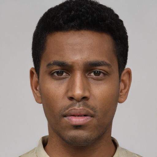 Neutral black young-adult male with short  black hair and brown eyes