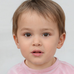 Neutral white child male with short  brown hair and brown eyes