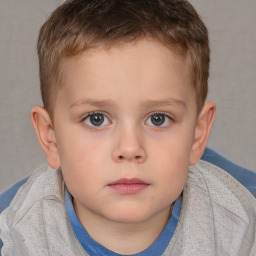 Neutral white child male with short  brown hair and brown eyes