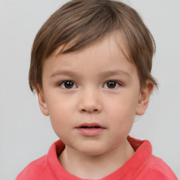 Neutral white child male with short  brown hair and brown eyes