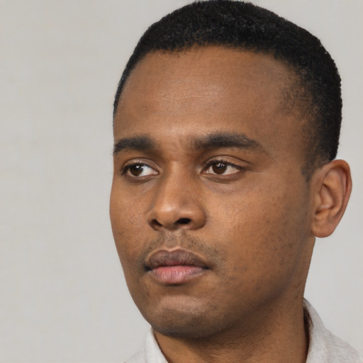 Neutral black young-adult male with short  black hair and brown eyes