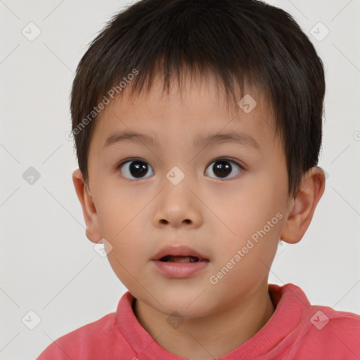 Neutral white child male with short  brown hair and brown eyes