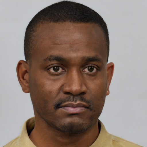 Neutral black young-adult male with short  black hair and brown eyes