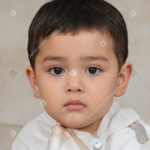 Neutral white child male with short  brown hair and brown eyes