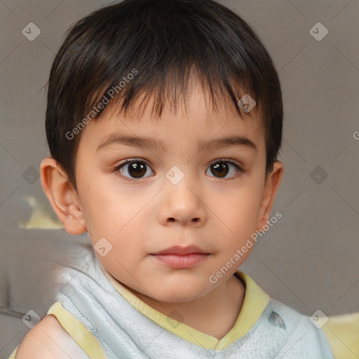 Neutral white child male with short  brown hair and brown eyes