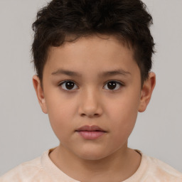 Neutral white child male with short  brown hair and brown eyes