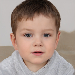 Neutral white child male with short  brown hair and brown eyes
