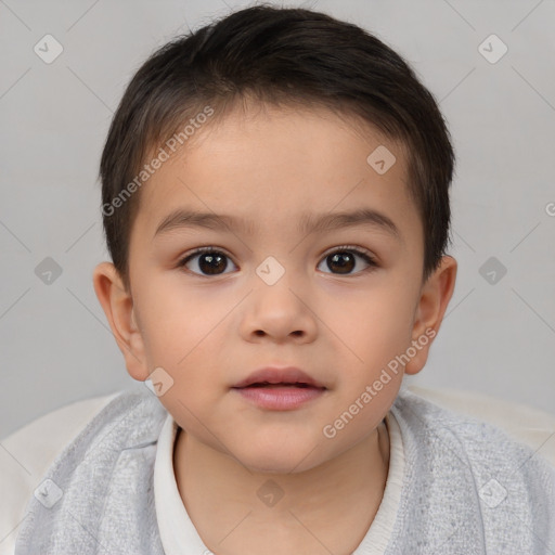 Neutral white child male with short  brown hair and brown eyes