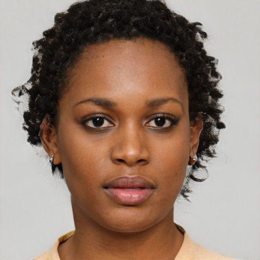 Neutral black young-adult female with short  brown hair and brown eyes
