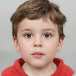 Neutral white child male with short  brown hair and brown eyes