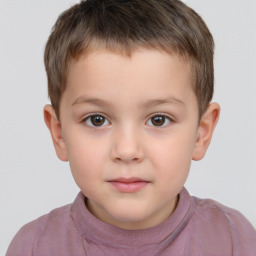 Neutral white child male with short  brown hair and brown eyes