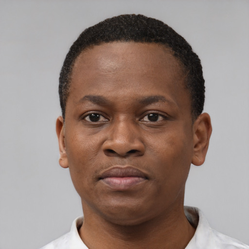 Joyful black young-adult male with short  black hair and brown eyes