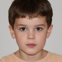 Neutral white child male with short  brown hair and brown eyes