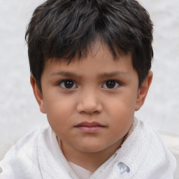 Neutral white child male with short  brown hair and brown eyes