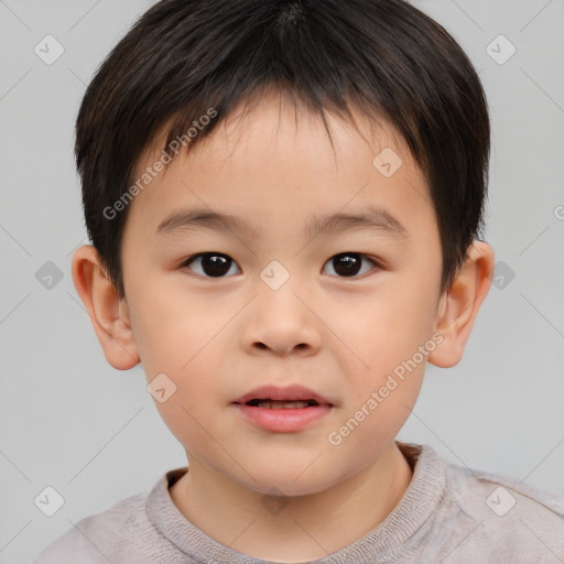 Neutral white child male with short  brown hair and brown eyes